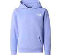 The North Face Teens' Simple Dome Light Regular Hoodie Periwinkle Glow L