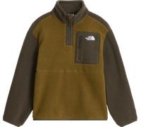 The North Face Teens' Yumiori 1/4 Zip Fleece Jacket Caraway Seed/New Taupe Green XXL
