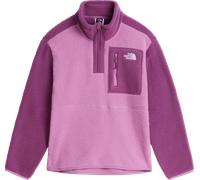 The North Face Teens' Yumiori 1/4 Zip Fleece Jacket Hushed Lavender/Chroma Purple M