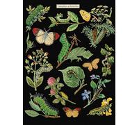 Thea Gouverneur 587.05 Kreuzstich-Set, Raupen und Schmetterlinge, schwarzer Aida, 16-fädig, für Erwachsene, DMC-Stickgarne und anderes Kreuzstichzubehör enthalten