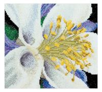 Thea Gouverneur - Kreuzstich-Set - Akelei - Ada - Aida - 18 Count - Für Erwachsene - 493A