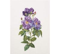 Thea Gouverneur - Kreuzstich-Set - Blaue Rosen Rhapsodie - Aida - 18 Count - Für Erwachsene - 413A