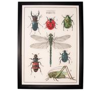 Thea Gouverneur - Kreuzstich-Set - Die Geschicte der Insekten - Aida - 16 Count - Für Erwachsene - 566A