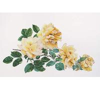 Thea Gouverneur - Kreuzstich-Set - Friedensrose - Aida - 18 Count - Für Erwachsene - 429A