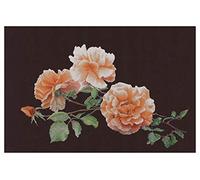 Thea Gouverneur - Kreuzstich-Set - Just Joey - Aida Schwarz - 18 Count - Für Erwachsene - 414.05