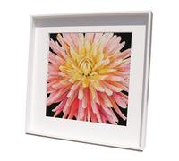 Thea Gouverneur - Kreuzstich-Set - Kissen mit Dahlia - Aida Schwarz - 18 Count - Für Erwachsene - 441.05