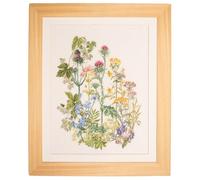 Thea Gouverneur - Kreuzstich-Set - Kräuter - Aida - 18 Count - Für Erwachsene - 424A