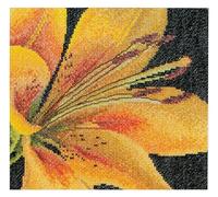 Thea Gouverneur - Kreuzstich-Set - Lilie - Aia - Aida - 18 Count - Für Erwachsene - 486A