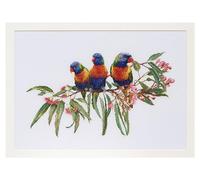 Thea Gouverneur - Kreuzstich-Set - Lorikeets - Aida - 16 Count - Für Erwachsene - 553A