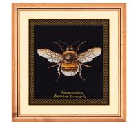 Thea Gouverneur Kreuzstich-Set mit Zhlmuster Hummel 2 Aida Schwarz 14-fdig Stickset fr Erwachsene DMC-Stickgarne und anderes Kre