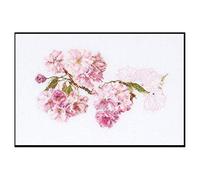 Thea Gouverneur - Kreuzstich-Set - Prunusblüte - Aida - 18 Count - Für Erwachsene - 512A