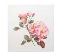 Thea Gouverneur - Kreuzstich-Set - Rosa Leersum - Aida - 18 Count - Für Erwachsene - 412A