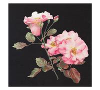 Thea Gouverneur - Kreuzstich-Set - Rosa Leersum - Aida Schwarz - 18 Count - Für Erwachsene - 412.05