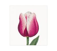 Thea Gouverneur - Kreuzstich-Set - Rot-weiße Tiumph Tulpe - Leinen - 32 Count - Für Erwachsene - 517