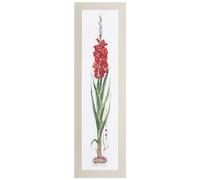 Thea Gouverneur - Kreuzstich-Set - Roter Gladiolus - Leinen - 36 Count - Für Erwachsene - 3073