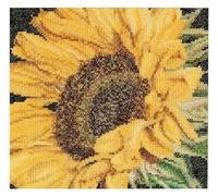 Thea Gouverneur - Kreuzstich-Set - Sonnenblum - Aida - 18 Count - Für Erwachsene - 488A