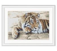 Thea Gouverneur - Kreuzstich-Set - Tiger - Aida - 14 Count - Für Erwachsene - 579A