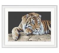 Thea Gouverneur - Kreuzstich-Set - Tiger - Aida Schwarz - 14 Count - Für Erwachsene - 579.05