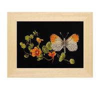 Thea Gouverneur - Zhler Cross Stitch Kit - Schmetterlings -Nasturtium - Aida Black - 18 Count - Stickkits fr Erwachsene - Handwerk - DMC -Stick