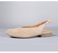 Think Ballerinas beige Guad-2 iced coffee 731-4020 - GUD 872 Gr.38