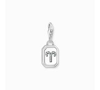 Thomas Sabo Charm - 2147-643-21 silber
