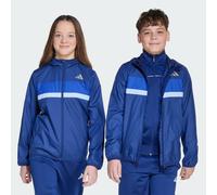 Windbreaker ADIDAS SPORTSWEAR "J TIBERIO WB", Jungen, Gr. 164, blau (dunkelblau, royal blau, glow blau), Obermaterial: 100% Polyester, normal, Jacken Windbreaker (13790325-164) dunkelblau, royal blau,