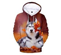 Tier Hund Husky 3D Druck Oversized Frauen Herren Hoodie Sweatshirt Hip Hop Pullover Kapuzenpullover Herren Casual Sportbekleidung, Pc-1126a1, XL