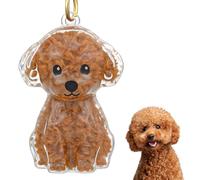 TIESOME Hundehaar Sammler Schlüsselanhängerr, DIY Hundehaare tierhaar Erinnerung Taschen anhänger, hundehaar aufbewahrung Hundeform Tierhaare Gedenkflasche Für Haushunde Pudel