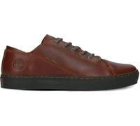 Timberland Adventure 2.0, Niedriger Schnür-Sneaker für Herren, EU 45.5