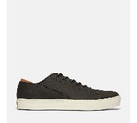 Timberland Adv 2.0 Cupsole Modern Oxford, Herren Gymnastikschuhe, Schwarz (Nero (Black) Tb0a1y6k0011), 43 EU