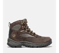 Timberland Women's Mid Lace Up GORE-TEX Hiking Boot Dark Brown 38.5