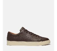 Timberland Dover Park Low Sportschuhe