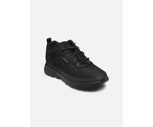 Timberland - Field Trekker Low TB0A67GG0151 - Schwarz - Sneaker - Größe 32