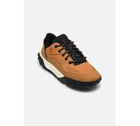Timberland - GREENSTRIDE MOTION 6 LOW LACE HKR BOOT - Schwarz - Sneaker - Größe 41