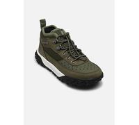 Timberland - GREENSTRIDE MOTION 6 LOW LACE UP HIKING - Grün - Sneaker - Größe 31
