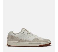 Timberland - Jackson Court Sneaker für Herren in Beige, Herren, Beige, Größe: 41