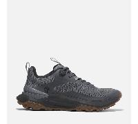 Timberland Motion Access Low Lace Up Sneaker grau - 40
