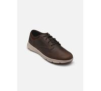 Timberland - Parker Street Low Lace Sneaker - braun - Sneaker - Größe 45