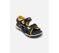 Timberland - Sandalen ADSK BACKSTRAP SANDAL MDBLU T - blau - Größe 25