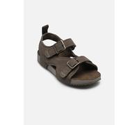 Timberland - Sandalen CASTLE ISLAND BACKSTRAP SANDAL C - Grau - Größe 32