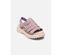 Timberland - Sandalen Clairemont WayFISHERMAN SANDAL - Violett - Größe 36