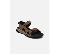Timberland - Sandalen Lincoln Peak Strap Sandal - Braun - Größe 46