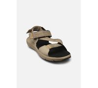 Timberland - Sandalen MTDN BACKSTRAP SANDAL LTBRN - beige - Größe 46