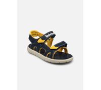Sandalen Timberland Perkins Row 2-Strap dunkelblau/gelb Babys - 23