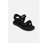 Timberland Perkins Row 2 Strap Sandalen Für Kleinkinder EU 25 Black