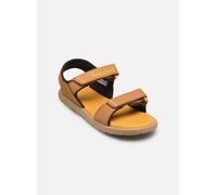 Timberland - Sandalen Perkins Row BACKSTRAP SANDAL - Braun - Größe 38