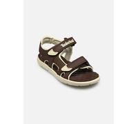 Timberland - Sandalen Perkins Row BACKSTRAP SANDAL C - Braun - Größe 33