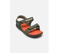Timberland - Sandalen Perkins Row BACKSTRAP SANDAL - Grün - Größe 36