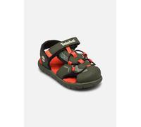 Timberland - Sandalen Perkins Row FISHERMAN SANDAL B - Grün - Größe 30