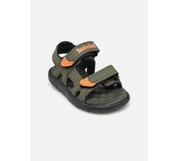 Timberland Perkins Row 2 Strap Sandalen Für Kleinkinder EU 21 Grape Leaf